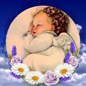 Meet your Posher, Araceli